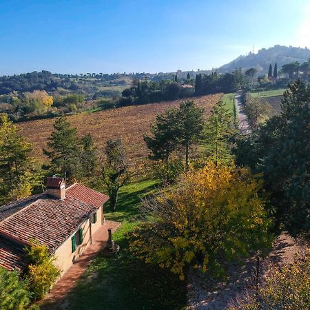 Il Vigneto Cottage 베르티노로 외부 사진