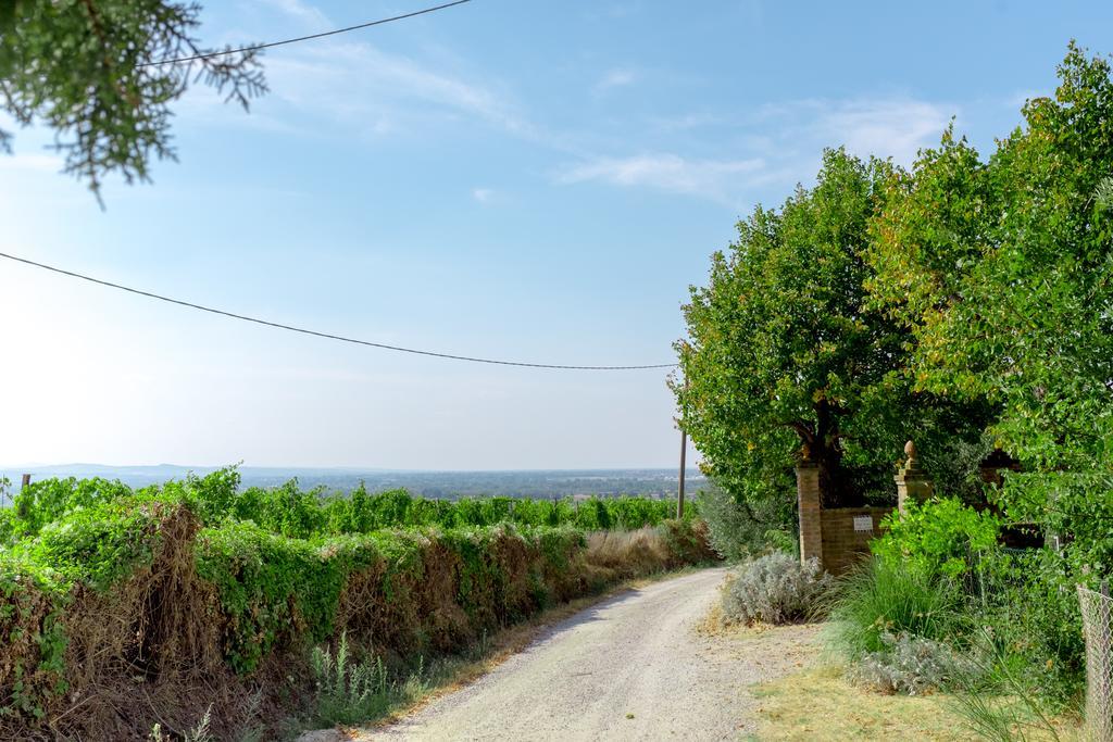 Il Vigneto Cottage 베르티노로 외부 사진